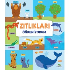 Zıtlıkları Öğreniyorum – Ciltli