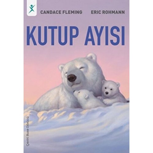 Kutup Ayısı