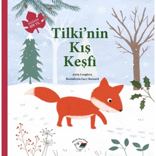 Tilki’nin Kış Keşfi – Doğada Bir Yıl