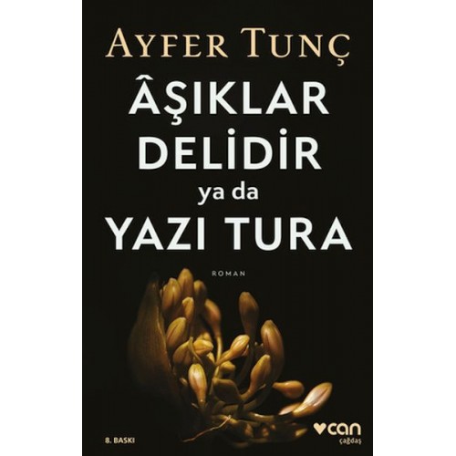 Aşıklar Delidir ya da Yazı Tura