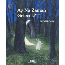 Ay Ne Zaman Gelecek?