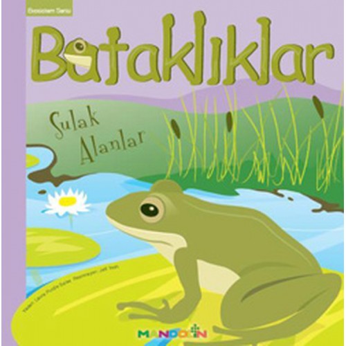 Ekosistem - 3/ Bataklıklar: Sulak Alanlar