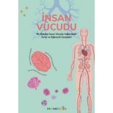 İnsan Vücudu