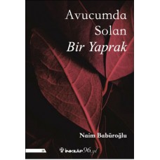 Avucumda Solan Bir Yaprak