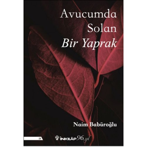 Avucumda Solan Bir Yaprak