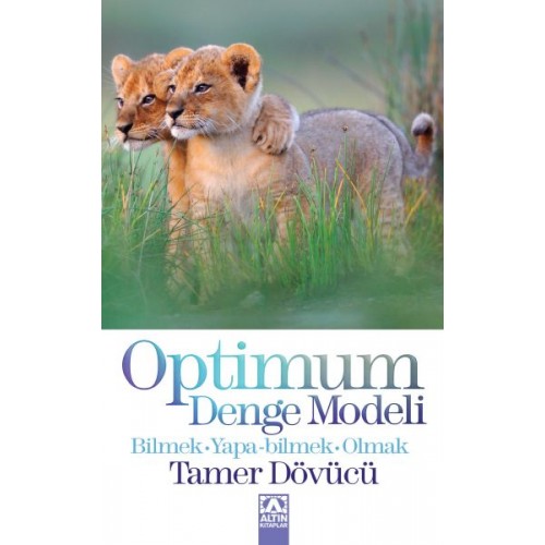 Optimum Denge Modeli