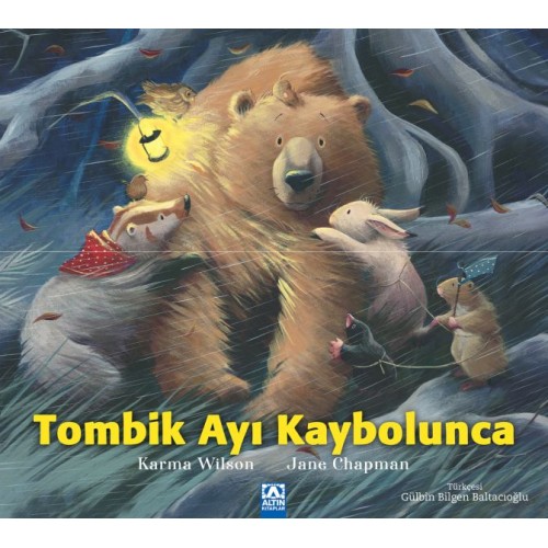 Tombik Ayı Kaybolunca