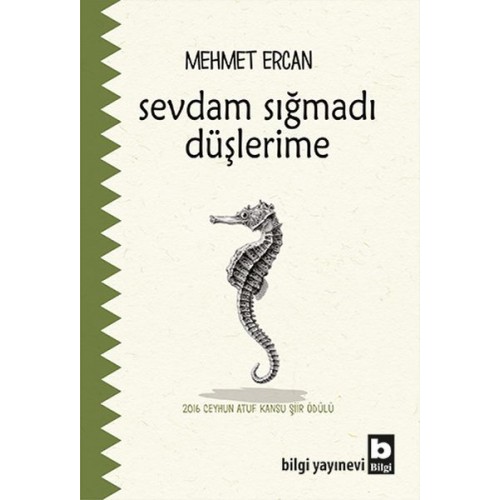 Sevdam Sığmadı Düşlerime