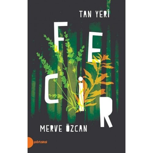 Fecir - Tan Yeri 2