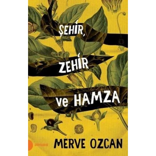 Şehir Zehir ve Hamza