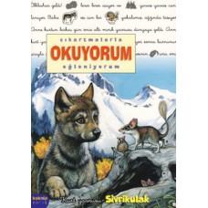 Sivrikulak / Çıkartmalarla Okuyorum Eğleniyorum