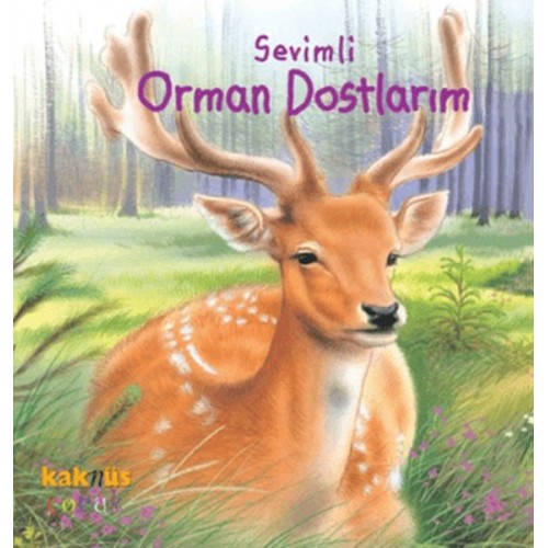 Sevimli Orman Dostlarım