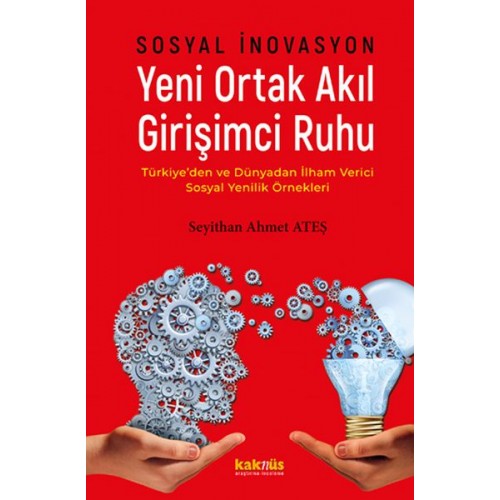 Sosyal İnovasyon Yeni Ortak Akıl Girişimci Ruhu