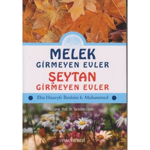 Melek Girmeyen Evler - Şeytan Girmeyen Evler