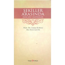 Şekiller Arasında Nazım Şekli Araştırmaları