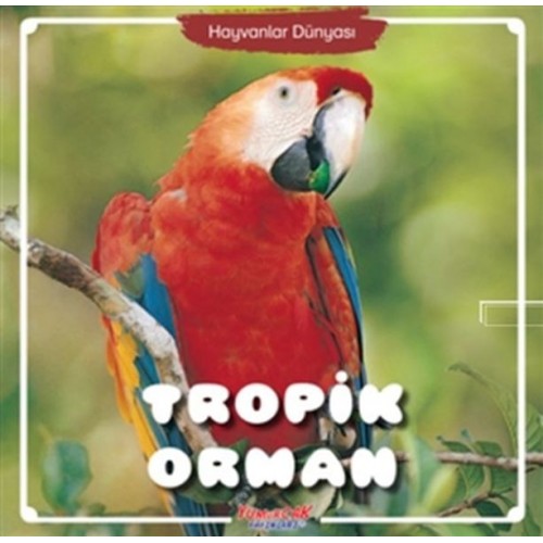 Tropik Orman - Hayvanlar Dünyası