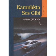 Karanlıkta Ses Gibi