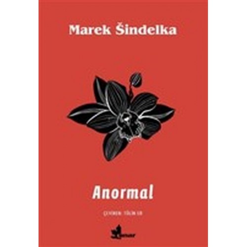 Anormal