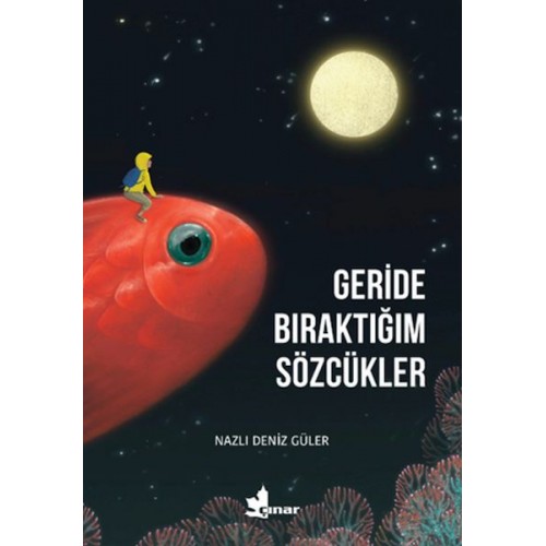 Geride Bıraktığım Sözcükler