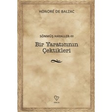 Bir Yaratıcının Çektikleri - Sönmüş Hayaller 3