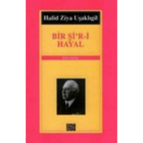 Bir Şi’r-i Hayal