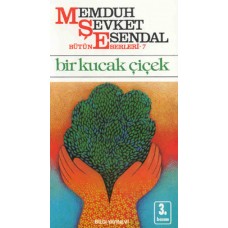 Bir Kucak Çiçek