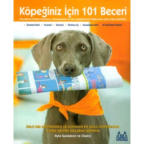 Köpeğiniz İçin 101 Beceri - Adım Adım Aktiviteler