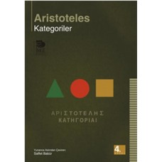 Kategoriler