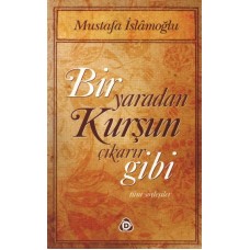 Bir Yaradan Kurşun Çıkarır Gibi / Tüm Söyleşiler