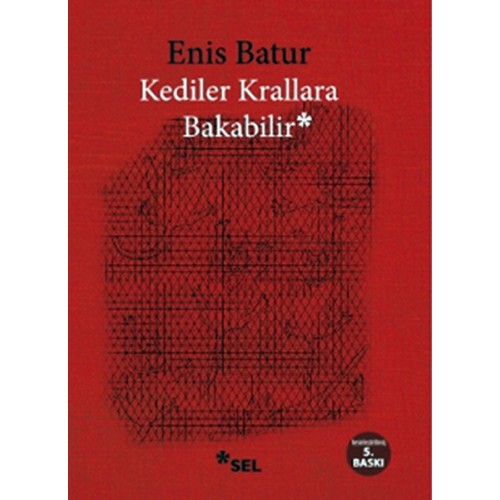 Kediler Krallara Bakabilir