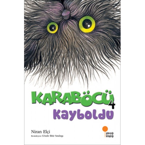 Karaböcü Kayboldu