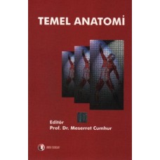 Temel Anatomi