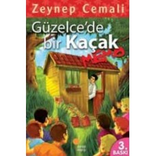 Güzelcede Bir Kaçak, Memo