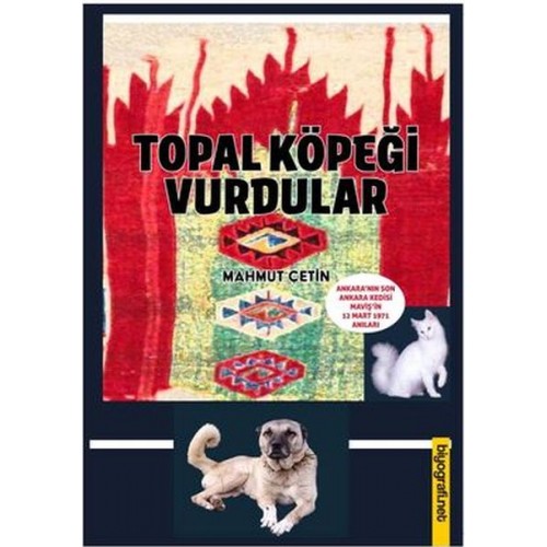 Topal Köpeği Vurdular