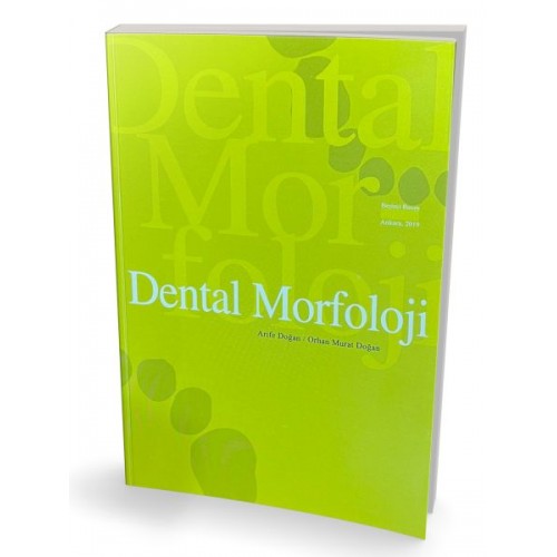 Dental Morfoloji