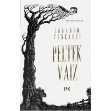 Peltek Vaiz