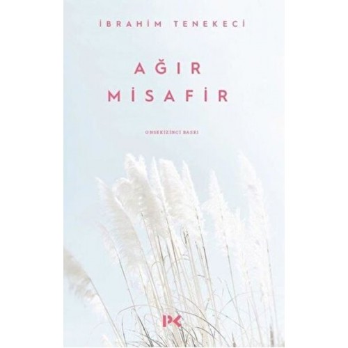 Ağır Misafir