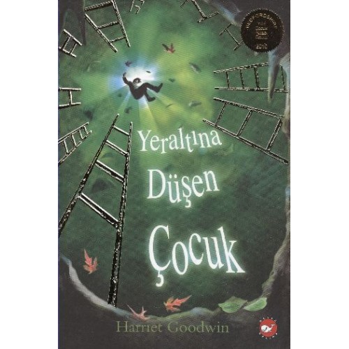 Yeraltına Düşen Çocuk