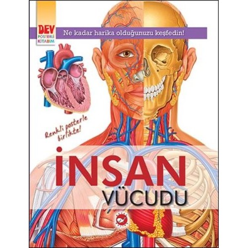 Dev Posterli Kitabım - İnsan Vücudu