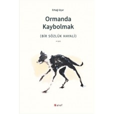 Ormanda Kaybolmak